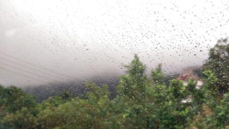 Lluvias y tormentas en Misiones hasta el viernes, con mejoras parciales el fin de semana imagen-26