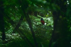 Foz do Iguaçú | Un encuentro transfronterizo sobre física y biodiversidad reunirá en noviembre a investigadores de la región del Bosque Atlántico Foz do Iguaçú | Un encuentro transfronterizo sobre física y biodiversidad reunirá en noviembre a investigadores de la región del Bosque Atlántico imagen-5