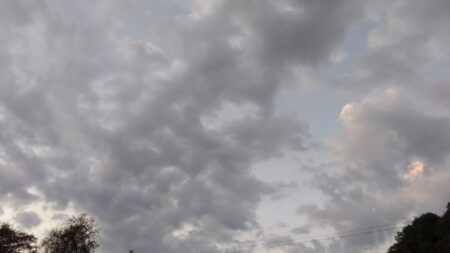 Miércoles con lluvias en el norte y descenso de temperaturas en Misiones imagen-7