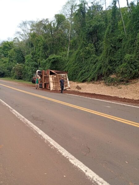 Siniestro vial: camión despistó sobre Ruta 12 en Puerto Piray imagen-6