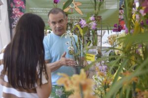 Expo Jardín: una feria de jardinería, diseño verde y bienestar en el Botánico imagen-3