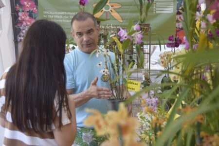 Expo Jardín: una feria de jardinería, diseño verde y bienestar en el Botánico imagen-6