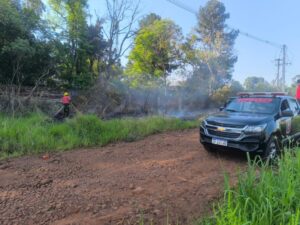 Incendio de malezas sobre ruta nacional 12 a la altura de Santa Ana imagen-1