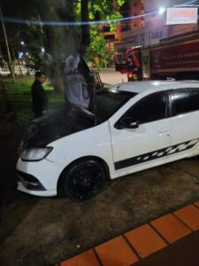Posadas: investigan un principio de incendio en un auto estacionado sobre la avenida Rademacher imagen-1