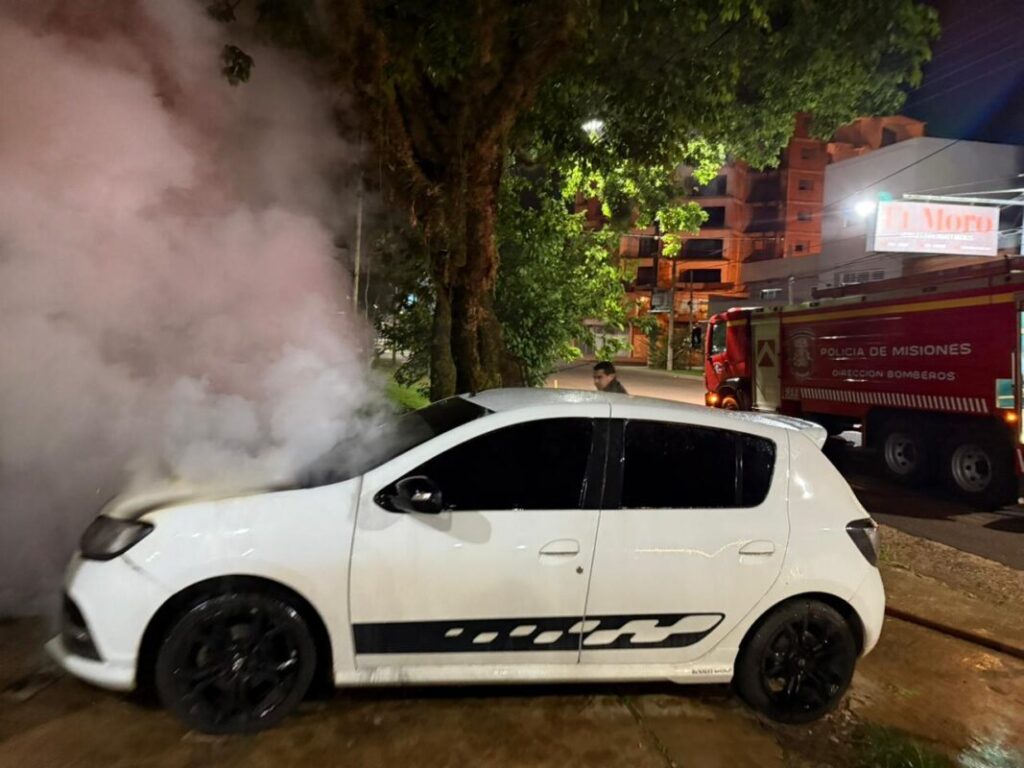 Detuvieron al presunto autor del incendio de un vehículo y de un hurto en Posadas imagen-5