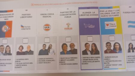 Elecciones 2025: cómo funcionará la boleta única para votar en Misiones imagen-4