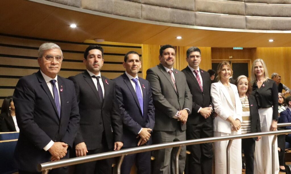 Fiore pasará a conformar el Superior Tribunal de Justicia imagen-5