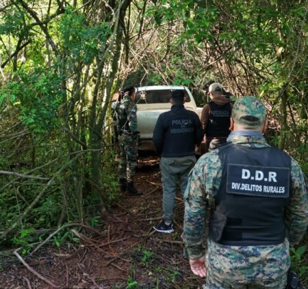 La Policía de Misiones secuestró una camioneta robada en Brasil: fue detectado por drones en una zona de montes imagen-9
