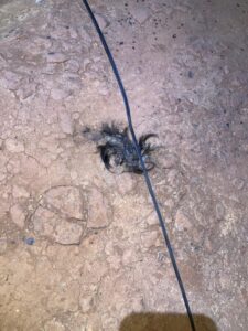 Aparente intento de hurto en la línea 132 dejó sin energía a Puerto Iguazú imagen-1