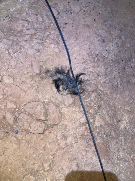 Aparente intento de hurto en la línea 132 dejó sin energía a Puerto Iguazú imagen-5