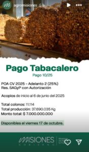 Este viernes 17 pagan a productores tabacaleros más de $7.000 millones imagen-1