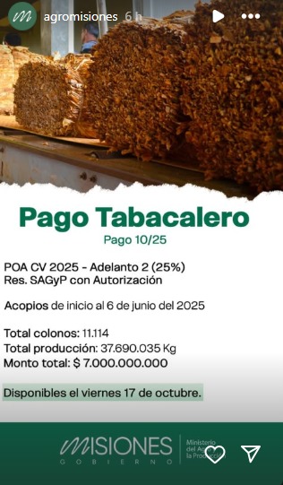 Este viernes 17 pagan a productores tabacaleros más de $7.000 millones imagen-14