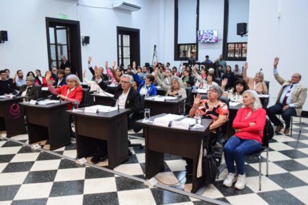 Voces con historia: se realizó la tercera edición del Parlamento de Personas Mayores imagen-4