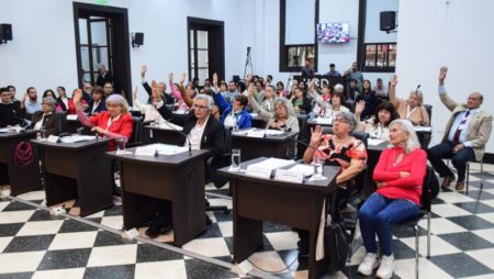 Se realizó la tercera edición del Parlamento de Personas Mayores imagen-6