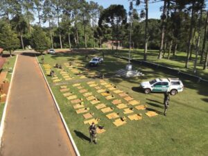 Secuestraron más de 1.800 kilos de marihuana valuados en más de $6.600 millones en un operativo de Gendarmería Secuestraron más de 1.800 kilos de marihuana valuados en más de $6.600 millones en un operativo de Gendarmería imagen-74