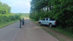 El Ministerio de Ecología refuerza los controles forestales en rutas de Misiones El Ministerio de Ecología refuerza los controles forestales en rutas de Misiones imagen-3