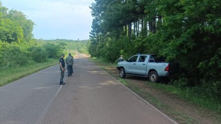 El Ministerio de Ecología refuerza los controles forestales en rutas de Misiones El Ministerio de Ecología refuerza los controles forestales en rutas de Misiones imagen-7