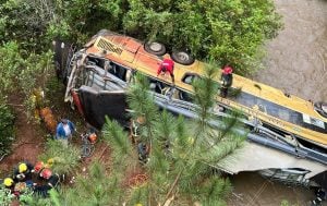 “Nunca habíamos trabajado en una tragedia de esta magnitud en Misiones”, lamentó el jefe de Bomberos Voluntarios “Nunca habíamos trabajado en una tragedia de esta magnitud en Misiones”, lamentó el jefe de Bomberos Voluntarios imagen-10