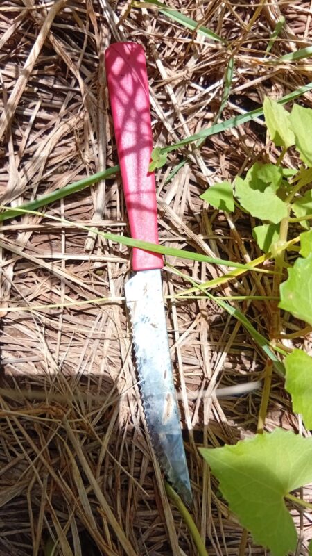 Cuatro detenidos en la investigación por el asesinato de un joven posadeño en un quincho de Candelaria Cuatro detenidos en la investigación por el asesinato de un joven posadeño en un quincho de Candelaria imagen-5