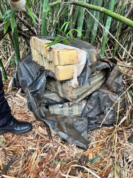 Ocultaban más de 100 kilos de marihuana en un tacuaral: la Policía la halló durante una búsqueda imagen-14