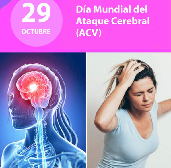 📒 🧠29 de octubre: Día Mundial del Accidente Cerebro Vascular (ACV)🧠 📒 🧠29 de octubre: Día Mundial del Accidente Cerebro Vascular (ACV)🧠 imagen-4