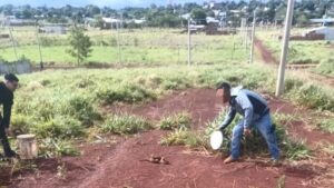 Rescataron una serpiente de gran tamaño en el barrio Itaembé Miní de Posadas imagen-1