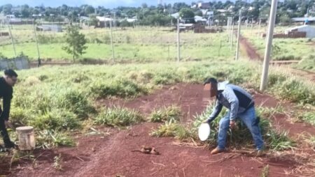 Rescataron una serpiente de gran tamaño en el barrio Itaembé Miní de Posadas imagen-9