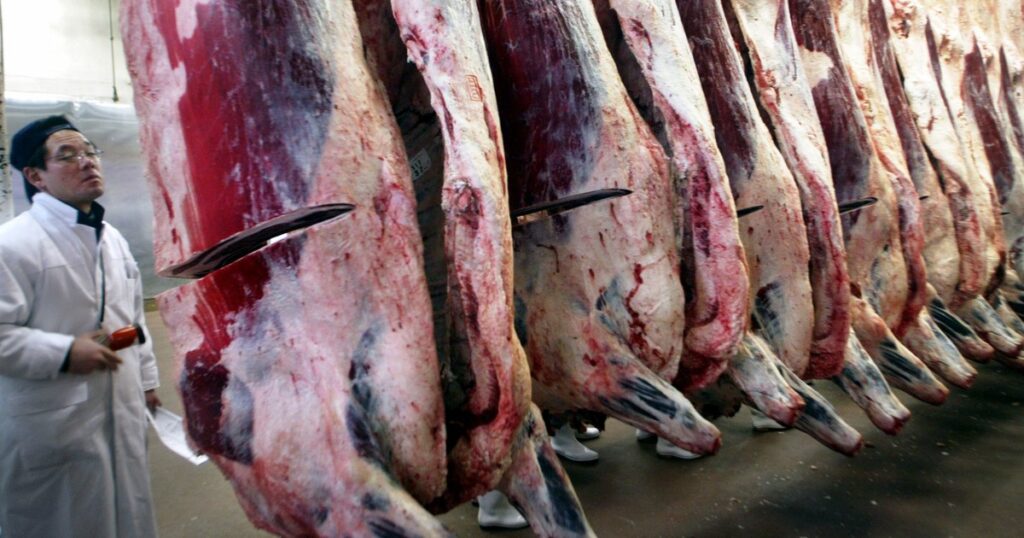 El gobierno de Trump cuadruplicará la importación de carne vacuna argentina El gobierno de Trump cuadruplicará la importación de carne vacuna argentina imagen-5