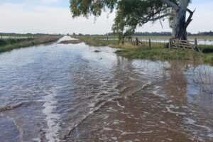 “Exceso de abandono”: enojados por los caminos y la inundación, productores de Carlos Casares se movilizarán contra el intendente imagen-1