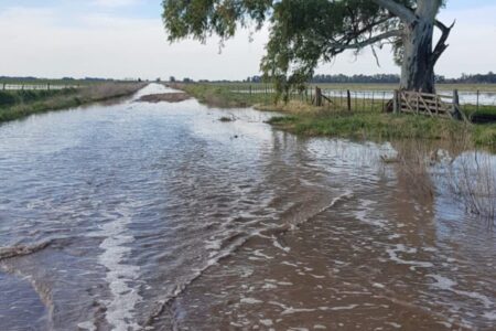 “Exceso de abandono”: enojados por los caminos y la inundación, productores de Carlos Casares se movilizarán contra el intendente imagen-8