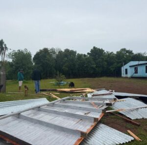 Temporal causó daños en una escuela rural y caída de árboles en Mojón Grande imagen-2