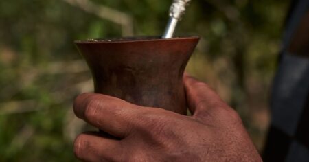 Hubo una fuerte caída en el consumo de yerba mate en el mercado interno imagen-13