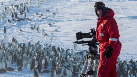 El equipo de este documental se vio obligado a romper la «regla cardinal de los documentales sobre la naturaleza» El equipo de este documental se vio obligado a romper la "regla cardinal de los documentales sobre la naturaleza" imagen-112