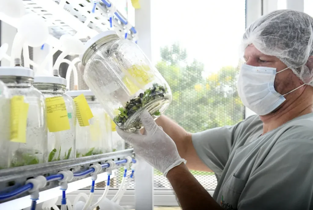 Biofábrica celebra 19 años de impulso tecnológico para las chacras misioneras imagen-5