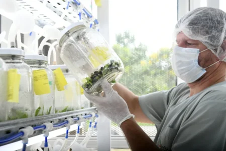 Biofábrica celebra 19 años de impulso tecnológico para las chacras misioneras imagen-119