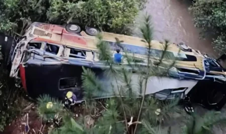 Un colectivo con 50 pasajeros cayó a un arroyo tras chocar con un auto en la Ruta 14 Un colectivo con 50 pasajeros cayó a un arroyo tras chocar con un auto en la Ruta 14 imagen-115