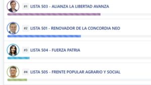 Diego Hartfield lidera la elección de diputados nacionales con el 37,3% de los votos Diego Hartfield lidera la elección de diputados nacionales con el 37,3% de los votos imagen-2