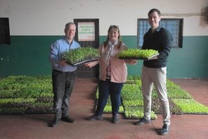 Alem apuesta al desarrollo local con entrega de plantines hortícolas a productores locales imagen-10