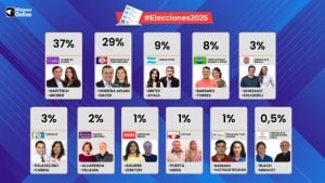 La ola nacional de apoyo a Milei también alcanzó a Misiones, La Libertad Avanza logra el 37,46% de votos, escrutado el 60,98% de las mesas La ola nacional de apoyo a Milei también alcanzó a Misiones, La Libertad Avanza logra el 37,46% de votos, escrutado el 60,98% de las mesas imagen-7