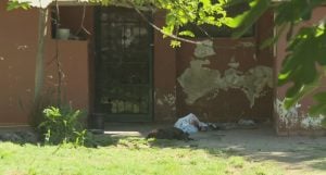 “La tenía encerrada”: la historia de Luna Giardina y su madre, víctimas de un doble femicidio en Córdoba imagen-7