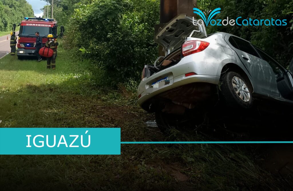 Despiste fatal en Andresito: un hombre de Iguazú perdió la vida imagen-66