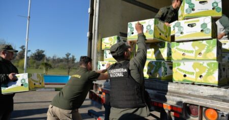 Cocaína camuflada entre bananas: incautaron un cargamento narco valuado en millones de dólares imagen-7
