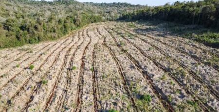 Vida Silvestre y el Ministerio de Ecología ponen en marcha la restauración del Parque Provincial Foerster imagen-119
