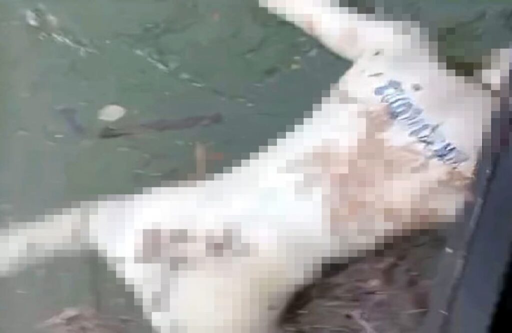 Presidente Franco: hallan el cuerpo de un hombre en el río Paraná Presidente Franco: hallan el cuerpo de un hombre en el río Paraná imagen-77