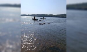 Buscan a joven que desapareció en el río Paraná en Capioví imagen-1