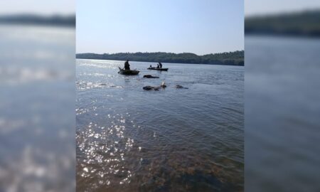 Buscan a joven que desapareció en el río Paraná en Capioví imagen-8