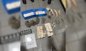 Rescatista fue notificado de maltrato animal tras allanamiento en veterinaria imagen-4