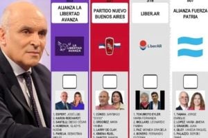Cuántos millones de pesos gastaría el Estado si tuviera que reimprimir las boletas electorales por la renuncia de Espert imagen-6
