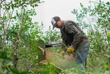 Productores advierten impacto negativo tras el vencimiento del decreto nacional que protege al trabajo rural temporario imagen-109