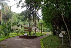 Este fin de semana llega la primera Expo Jardín, un evento para disfrutar, transformar y conectar con la naturaleza imagen-7